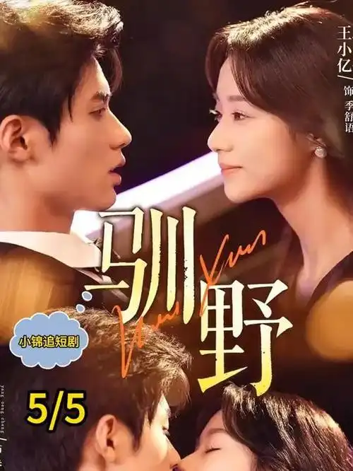 春潮慢半拍 都市情感热播电视剧全集